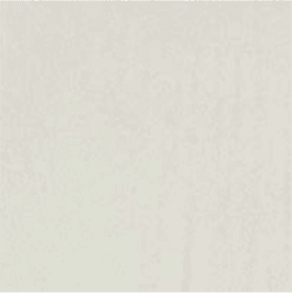 White - Light