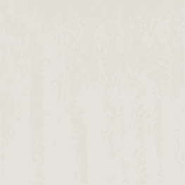 White - Strong