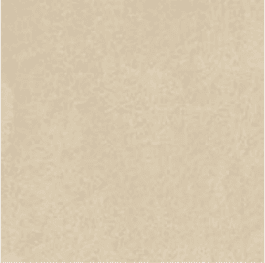 Camel - Mid