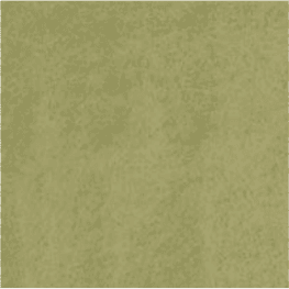 Olive - Intense