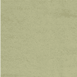 Olive - Mid
