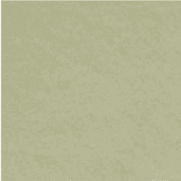 Olive - Light
